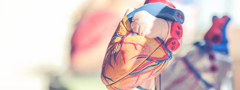 Disfunção erétil e doenças cardiovasculares: qual é a relação