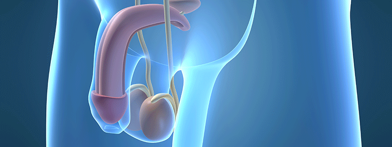 Frenuloplastia: o que é e quando é indicada? - UROMED