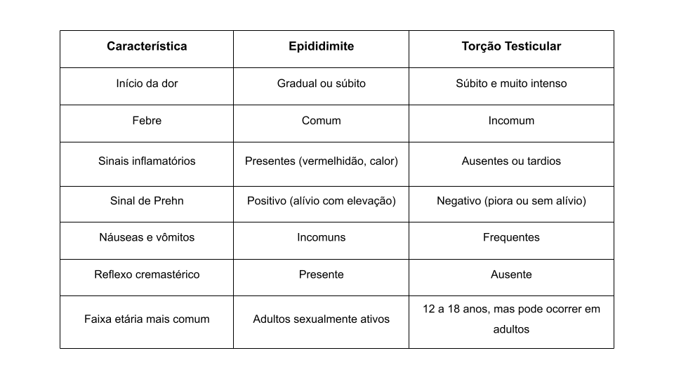 Rascunho automático